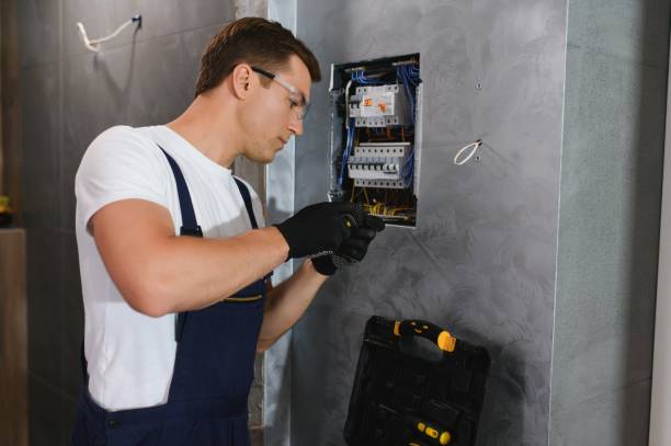 Best Electric Panel Repair  in Hunters Creek, FL